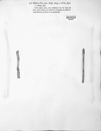 Stemphylium vesicarium image